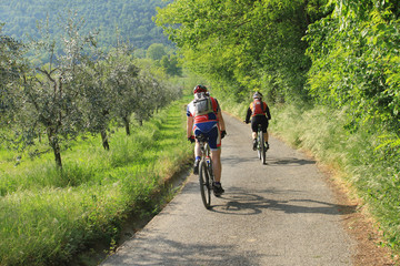 Fototapeta premium Pista ciclabile della Valtenesi