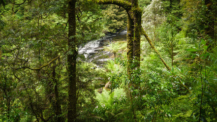 Wasserfall Triplet Falls im Regenwald an der Great Ocean Road in Australien