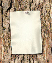 Baum, Rinde mit handgeschöpftem Briefpapier