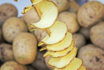 Spiral potatoes tornado on a stick closeup