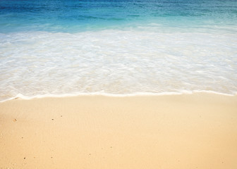 Fototapeta na wymiar Wave on sandy beach