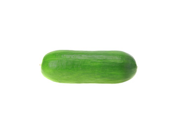 Short cucumber