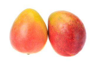 Two red ripe mango