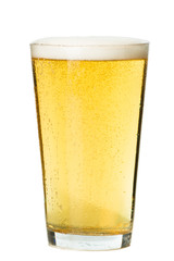 PInt glass of light beer pilsner lager isolated on white background for use alone or as a design...
