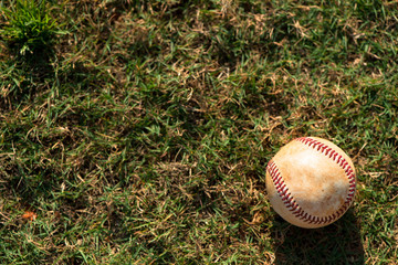 Baseball Ball on Grass