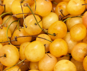 yellow cherries on white background