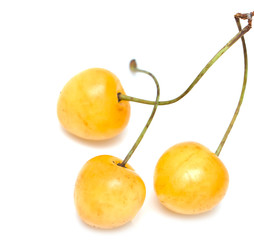 yellow cherries on white background