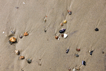 Pebbles on the sand