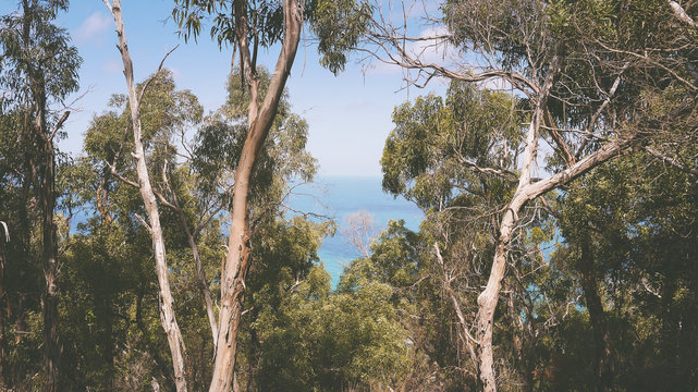 Blick auf das Meer an der Great Ocean Road in Australien