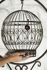 Fototapeta na wymiar metal ornate birdcage