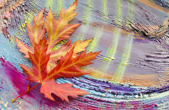 The autumn maple leaves on painted colorful wooden background.