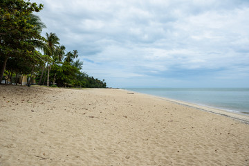 serenity beach (beach, resort, scene)