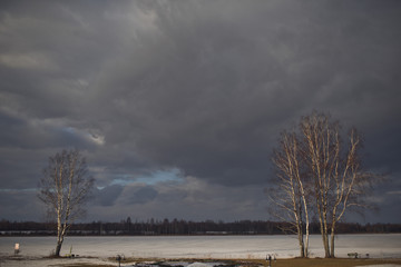 Gray winter sky over a snowed field