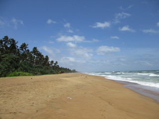 Fototapeta na wymiar Sandstrand in Kalutara, Sri Lanka