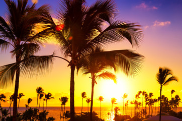 Fototapeta na wymiar Coconut palm trees against colorful sunset