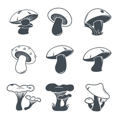 Mushroom concept. Collection of mushrooms. Vector illustration. Set.