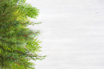 White wooden background with evergreen branches