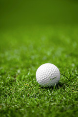 Golfball on course