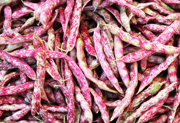 fagioli borlotti con guscio su banco--borlotti beans with shell on bench