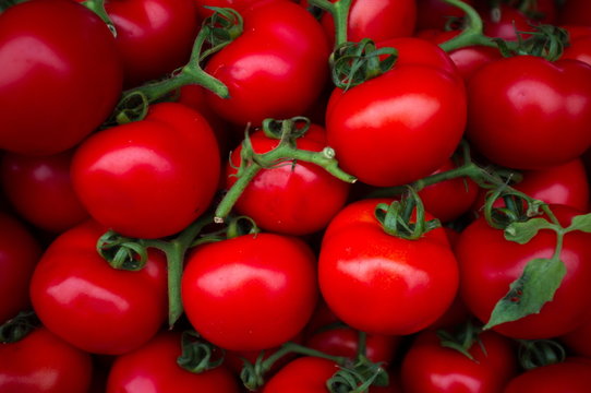 Pomodori rossi maturi