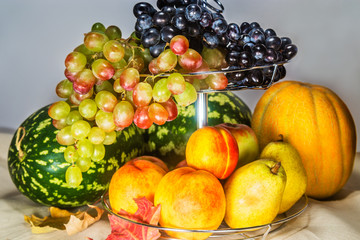 Autumn harvest of fruits