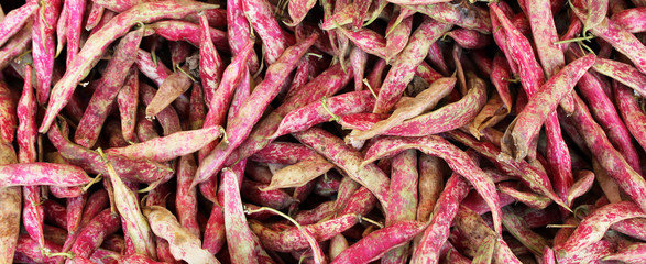 fagioli borlotti con guscio su banco--borlotti beans with shell on bench