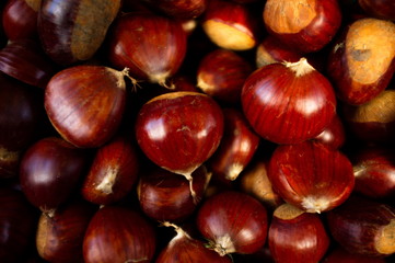 Castagne