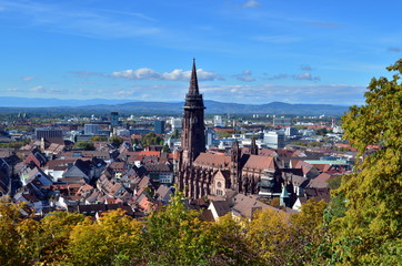 Blick auf Freiburg im Herbst - obrazy, fototapety, plakaty