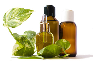 spa concept with body oils and green leaves isolated