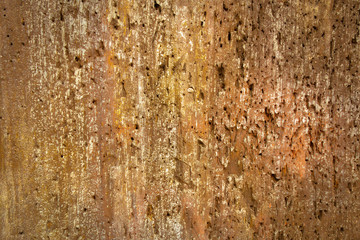 wood grungy background with space for your design