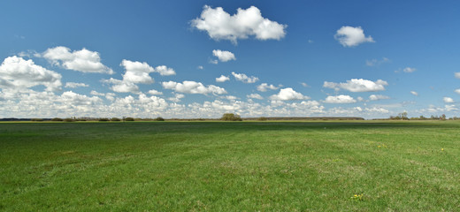 Nadbiebrzańskie łąki © jadwiga.koniecko