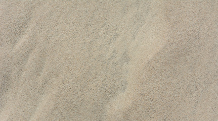 Fototapeta na wymiar Sand texture top view