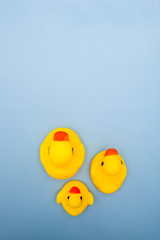 yellow duck family toy for kids play on blue background
