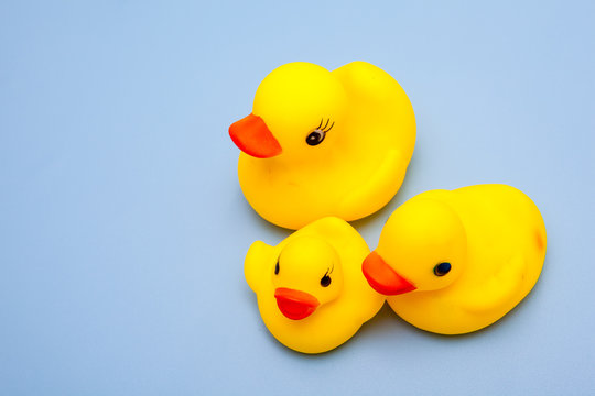 yellow duck family toy for kids play on blue background