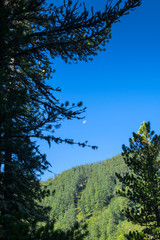 Obraz premium Altai mountains, Russia