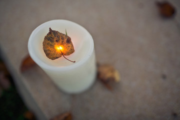 Dry leaf on the white candle