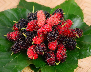 Mulberry fruit on the background.