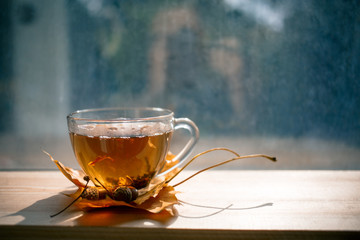 Autumn Still Life: Tea on maple leaves on a wooden table near the window. The sun's rays on a cup of brewed tea. Cup of hot tea on a sunny day on a window background.