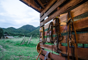 Wooden wall of stable with hanged bridles