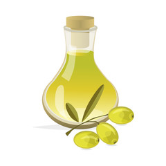 Olive branch with green olives on a white background isolated