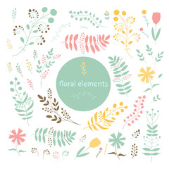 Floral set isolated on white background