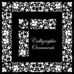 Decorative calligraphic ornaments - isolated on black background