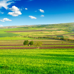 beautiful rural landscape