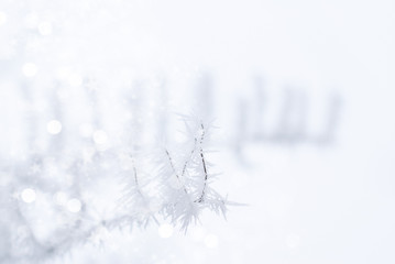 Winter Background.  Abstract Snowy Bokeh Background with Snowflakes