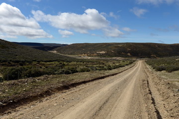 Fototapeta na wymiar The road to Tierra del Fuego.