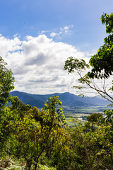 Fototapeta premium View from Mount Whitfield in Cairns, Australia