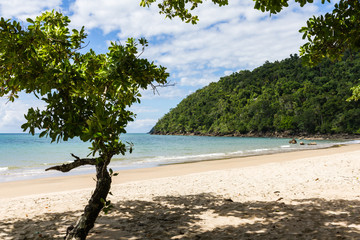 Beautiful Beach Etty Bay in Australia