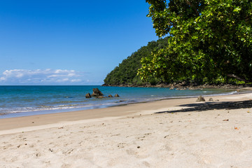 Beautiful Beach Etty Bay in Australia