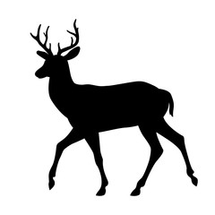 deer vector illustration silhouette black side view