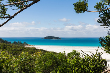 Fototapeta na wymiar Beautiful Landscape in the Whitsunday Islands in Australia